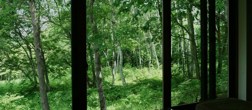 summer_06.jpg
