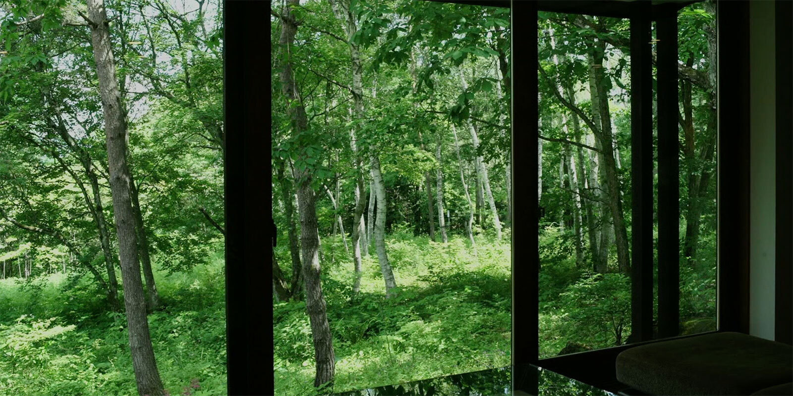summer_06.jpg