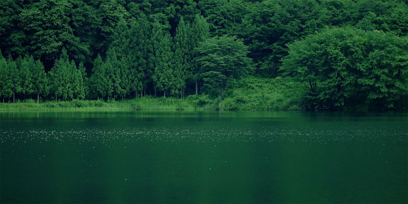 summer_01.jpg